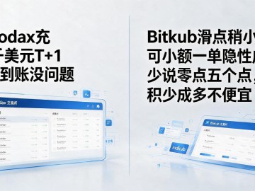 东南亚交易所数字货币靠谱不靠谱？五个一线细节帮你把脉